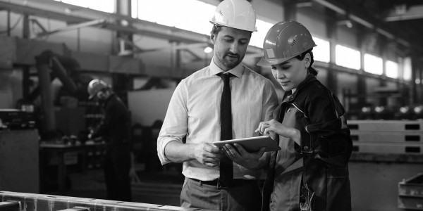 Contratos de Trabajo / Situaciones Irregulares Ribes de Freser · Inspección Laboral / Seguridad Social